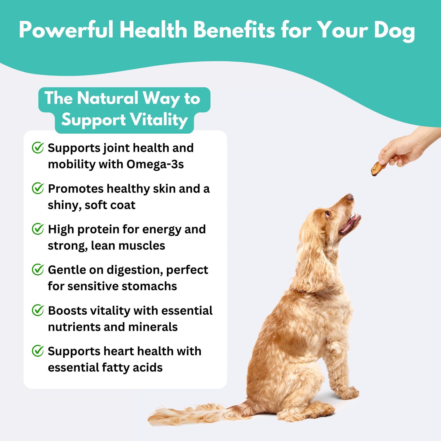 Australian Salmon Skin Dog Treats - powerful health benefits