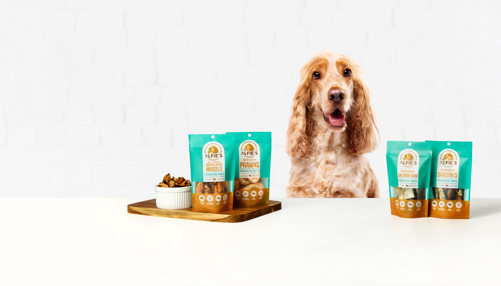 Alfie sitting behind dog treats