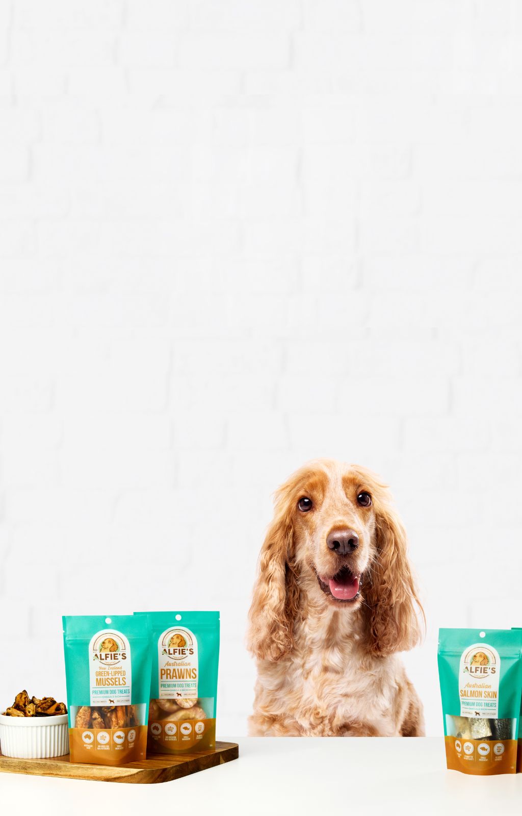 dog sitting in front of dog treats