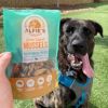 Dog with Alfie's Treatos dog treats