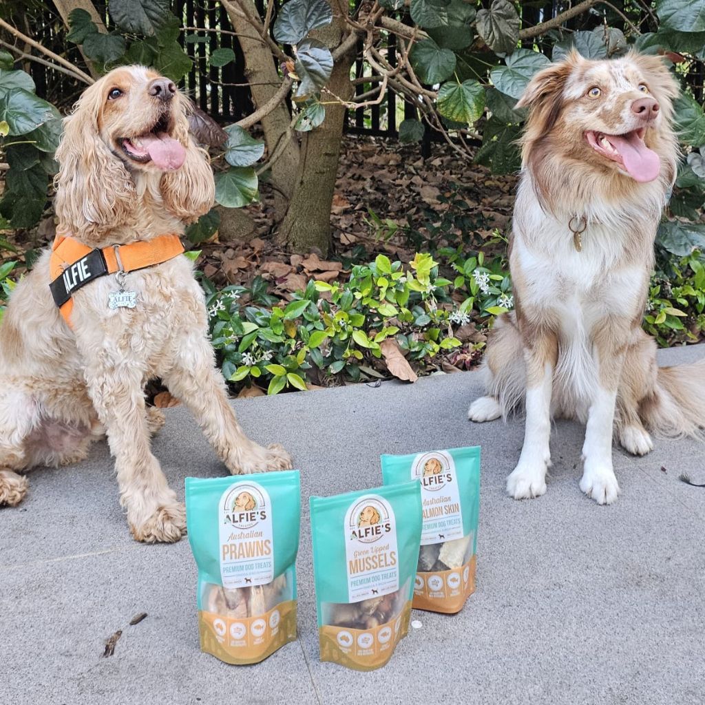 two dogs sitting in front of alfie's treatos dog treats