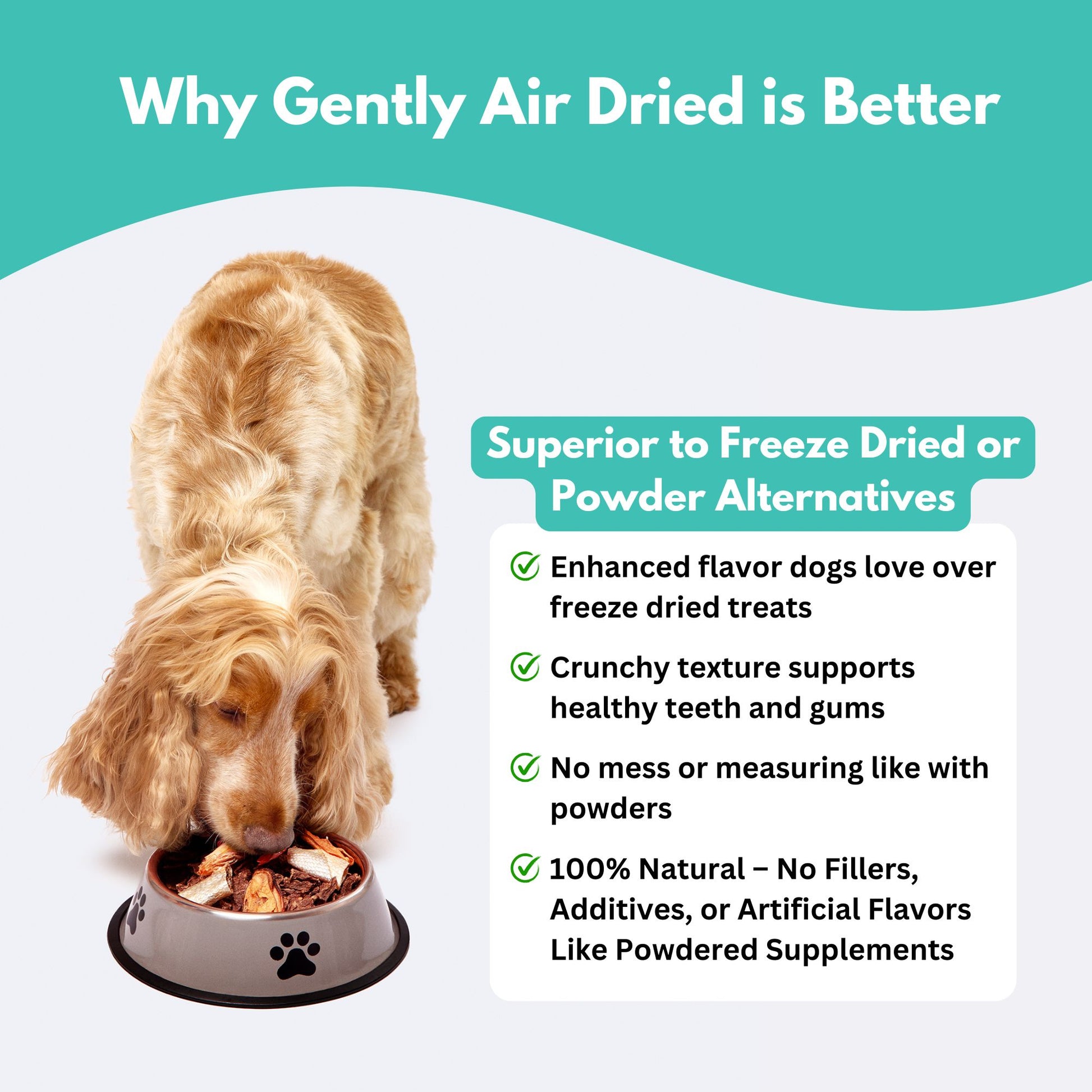 New Zealand Green Lipped Mussel Dog Treats - why gently air dried is better