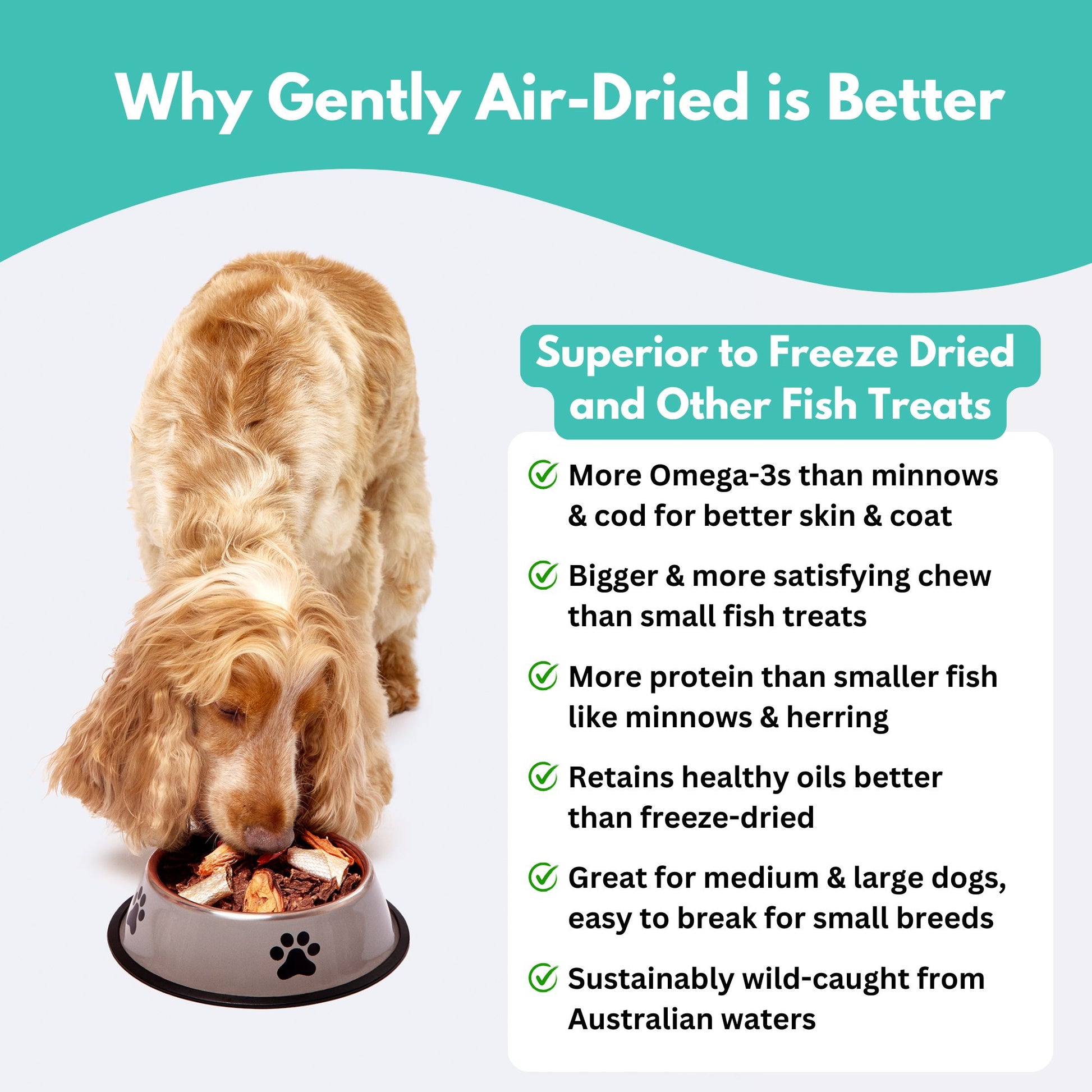 Australian Sardine Dog Treats - why gently air dried is better