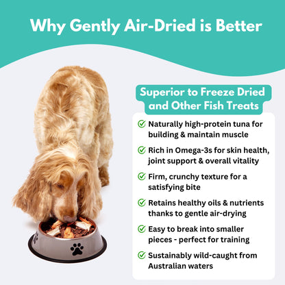 Why gently air dried tuna fillet dog treats is better