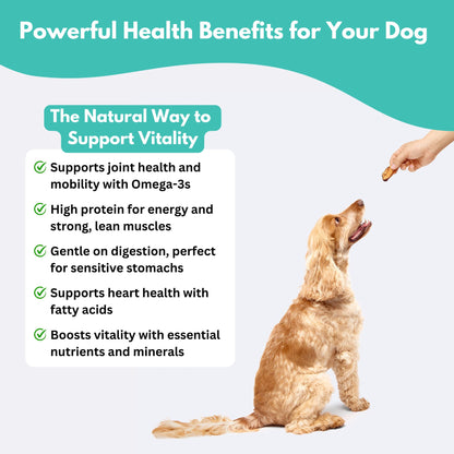 health benefits of tuna dog treats
