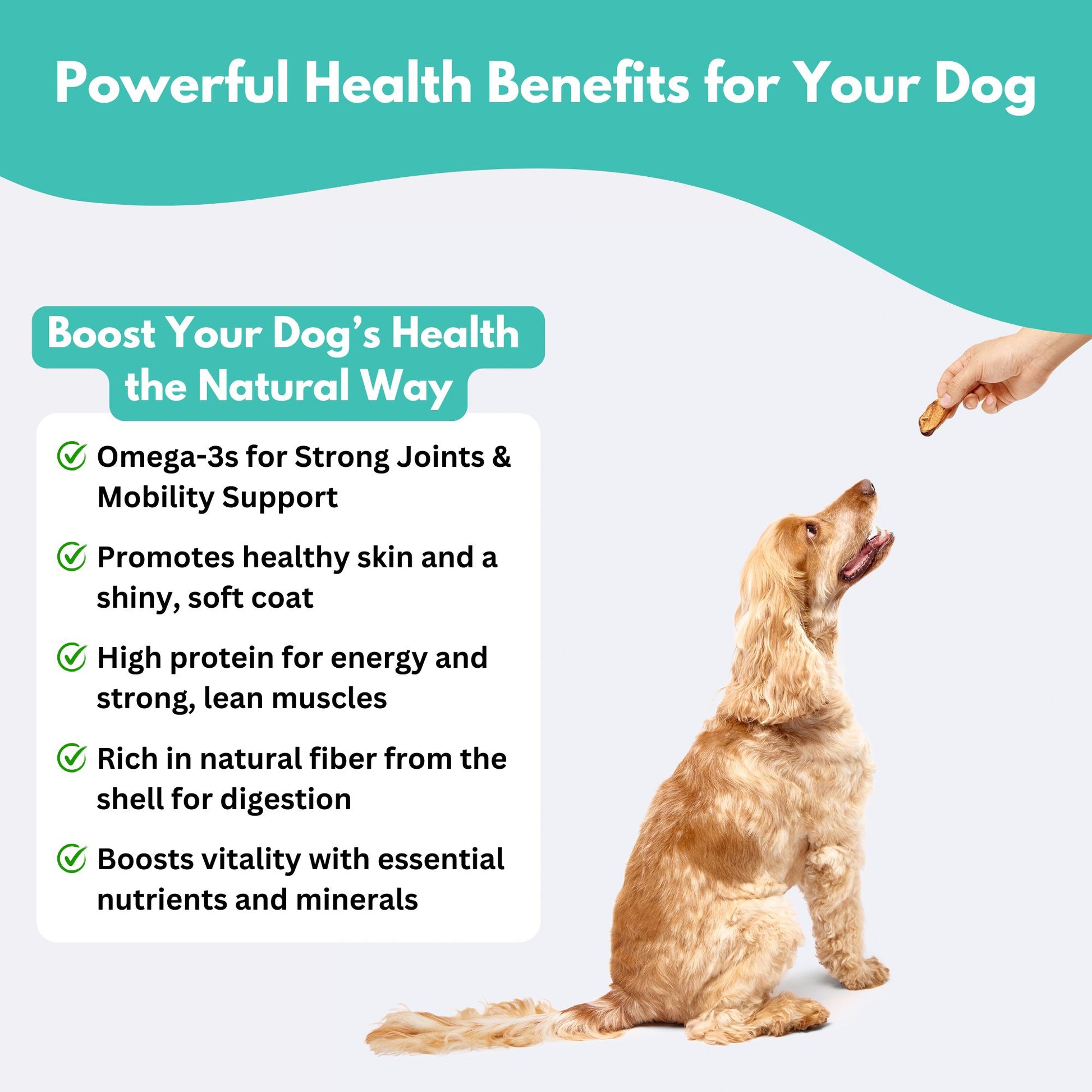 Australian Prawn Dog Treats - powerful health benefits