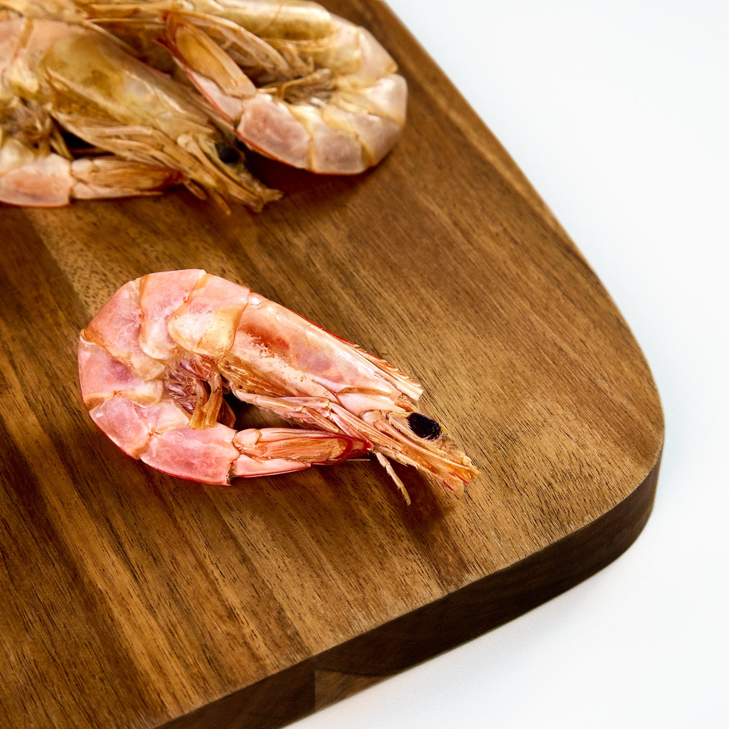 Wild-Caught Australian Jumbo Prawn Treats for Dogs & Cats