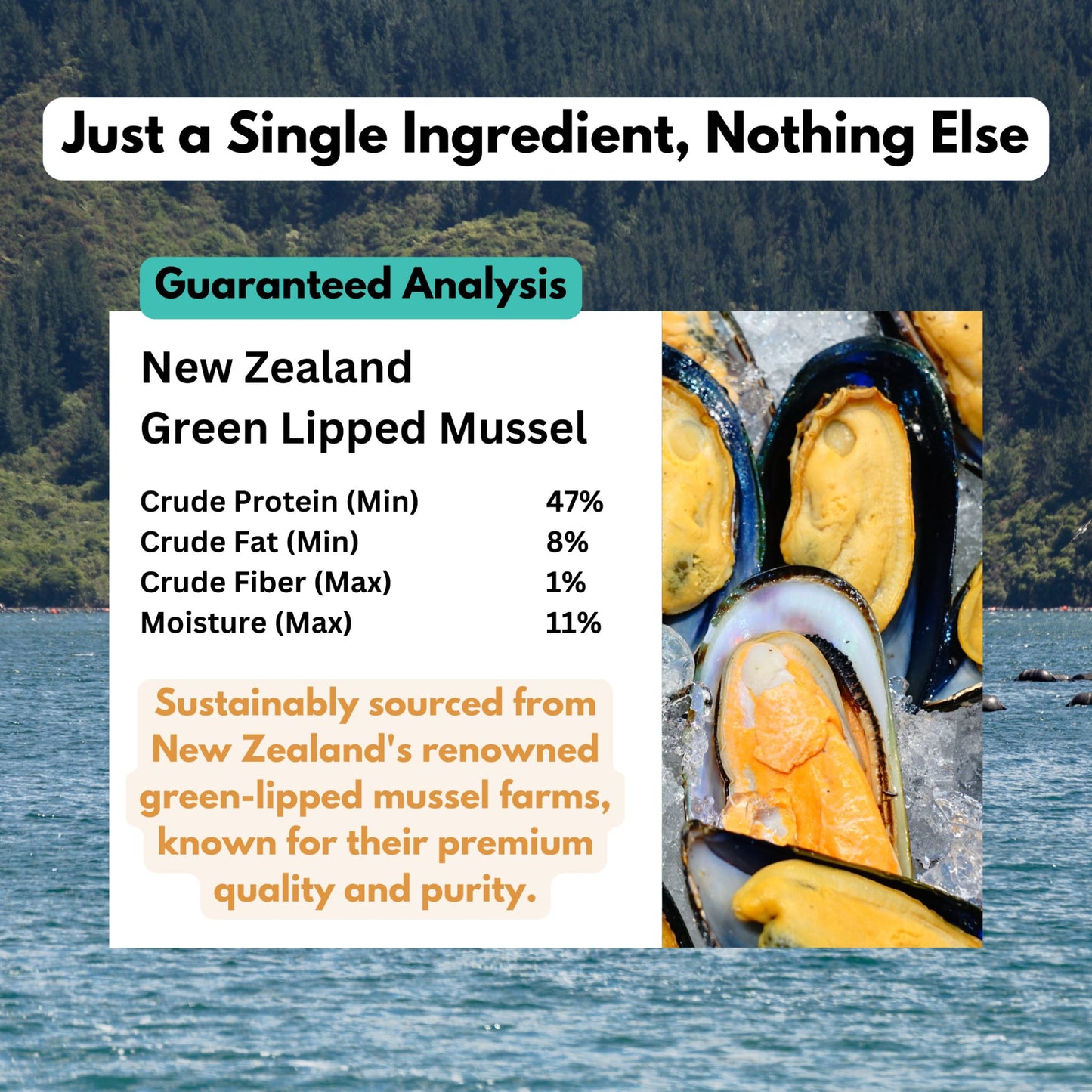 green lipped mussel dog treats guaranteed analysis