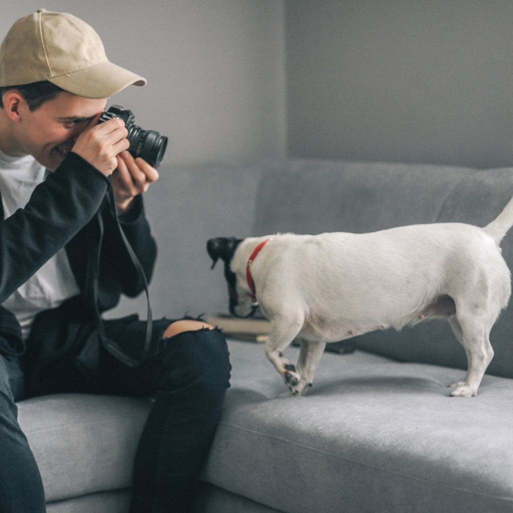 person taking picture of a dog