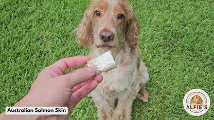 Dog being treated with salmon skin dog treat