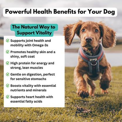 salmon skin dog treats benefits