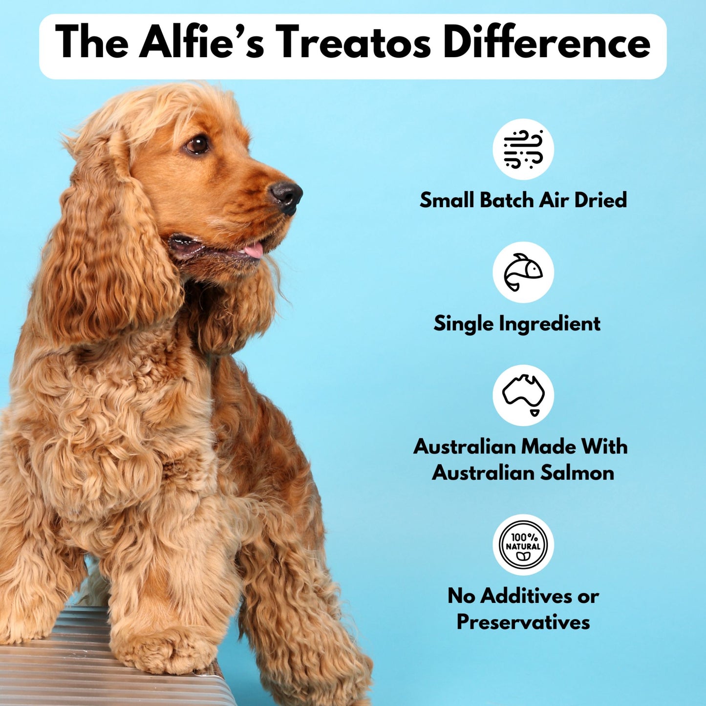 salmon skin dog treats alfie's treatos difference